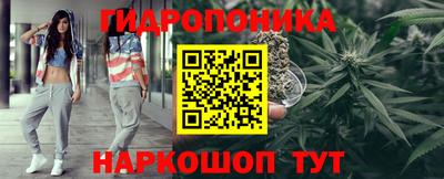 сатива Вышний Волочёк