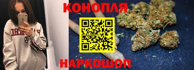 сатива Вышний Волочёк