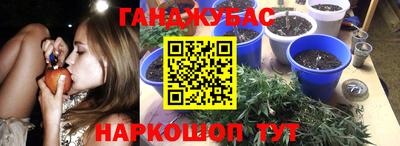 сатива Вышний Волочёк