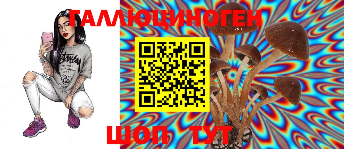 Галлюциногенные грибы GOLDEN TEACHER  Вход с VPN  Великие Луки 